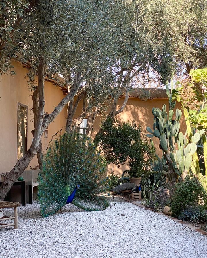 Hotel Dar Al Hossoun Taroudant Exterior foto